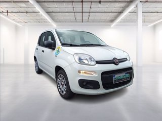 FIAT Panda 1.2 Easy easypower Gpl 69cv my19 0