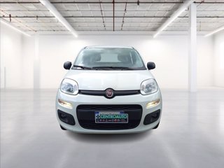 FIAT Panda 1.2 Easy easypower Gpl 69cv my19 1