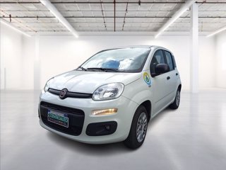 FIAT Panda 1.2 Easy easypower Gpl 69cv my19 2