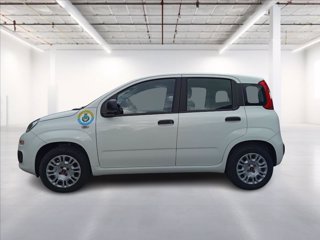 FIAT Panda 1.2 Easy easypower Gpl 69cv my19 3