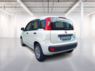 FIAT Panda 1.2 Easy easypower Gpl 69cv my19 4