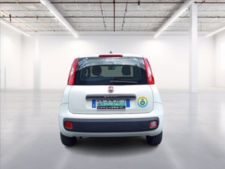 FIAT Panda 1.2 Easy easypower Gpl 69cv my19 5