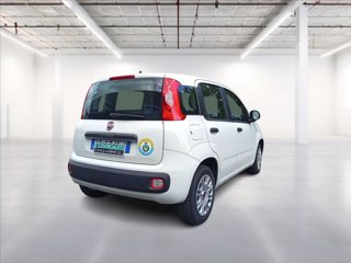 FIAT Panda 1.2 Easy easypower Gpl 69cv my19 6