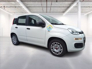 FIAT Panda 1.2 Easy easypower Gpl 69cv my19 7
