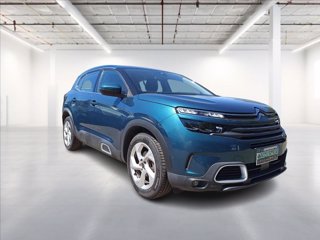 CITROEN C5 Aircross 1.5 bluehdi Business s&s 130cv eat8 my20 0