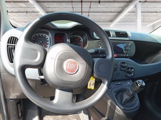 FIAT Panda 1.0 hybrid Easy s&s 70cv 12