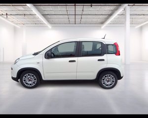 FIAT Panda 1.0 firefly hybrid s&s 70cv 3
