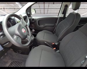FIAT Panda 1.0 firefly hybrid s&s 70cv 9
