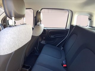 FIAT Panda 1.0 firefly hybrid s&s 70cv 10
