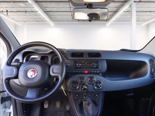 FIAT Panda 1.0 firefly hybrid s&s 70cv 11