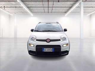FIAT Panda 1.0 firefly hybrid City Life s&s 70cv 1