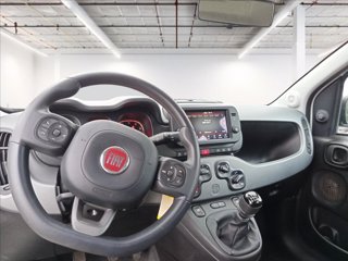 FIAT Panda 1.0 firefly hybrid City Life s&s 70cv 15