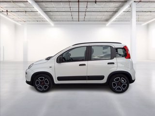 FIAT Panda 1.0 firefly hybrid City Life s&s 70cv 3