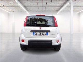 FIAT Panda 1.0 firefly hybrid City Life s&s 70cv 5