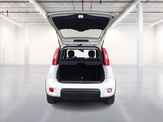 FIAT Panda 1.0 firefly hybrid City Life s&s 70cv 9