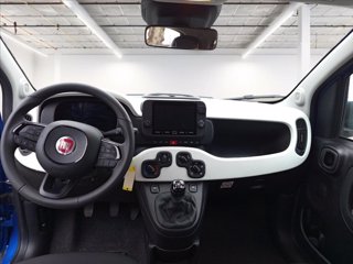 FIAT Pandina Cross 1.0 firefly hybrid s&s 70cv 17