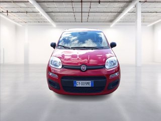 FIAT Pandina 1.0 firefly hybrid s&s 70cv 1