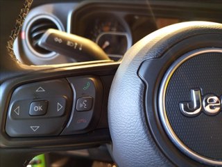 JEEP Wrangler Unlimited 2.0 turbo Rubicon auto 12