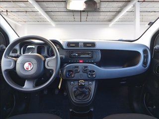 FIAT Panda 1.0 firefly hybrid s&s 70cv 11