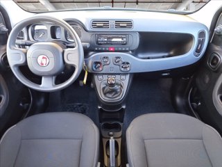 FIAT Panda 1.0 firefly hybrid s&s 70cv 12