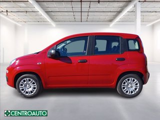 FIAT Pandina 1.0 firefly hybrid s&s 70cv 3