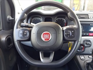 FIAT Panda 1.0 firefly hybrid City Life s&s 70cv 14