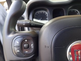 FIAT Panda 1.0 firefly hybrid City Life s&s 70cv 16