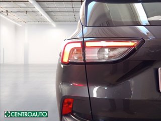 FORD Kuga 1.5 ecoblue Titanium Business 2wd 120cv auto 27