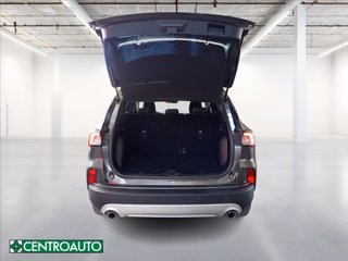 FORD Kuga 1.5 ecoblue Titanium Business 2wd 120cv auto 29