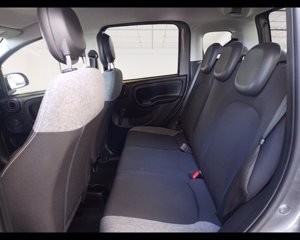 FIAT Panda 1.0 firefly hybrid City Life s&s 70cv 5p.ti 10