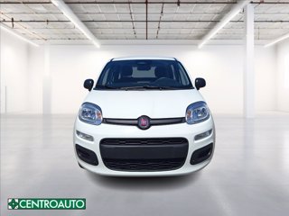 FIAT Pandina 1.0 firefly hybrid Icon s&s 65cv 1