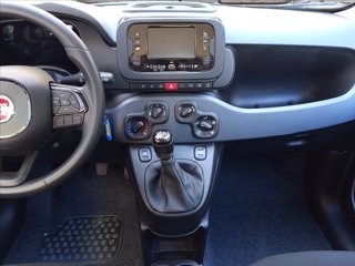 FIAT Pandina 1.0 firefly hybrid Icon s&s 65cv 13