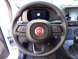 FIAT Pandina 1.0 firefly hybrid Icon s&s 65cv 14
