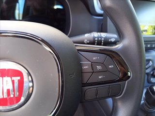 FIAT Pandina 1.0 firefly hybrid Icon s&s 65cv 15