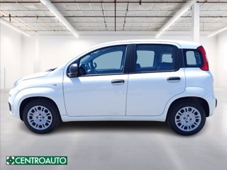 FIAT Pandina 1.0 firefly hybrid Icon s&s 65cv 3