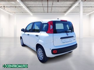 FIAT Pandina 1.0 firefly hybrid Icon s&s 65cv 4