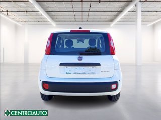 FIAT Pandina 1.0 firefly hybrid Icon s&s 65cv 5