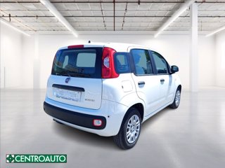 FIAT Pandina 1.0 firefly hybrid Icon s&s 65cv 6