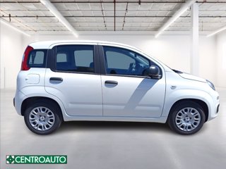 FIAT Pandina 1.0 firefly hybrid Icon s&s 65cv 7