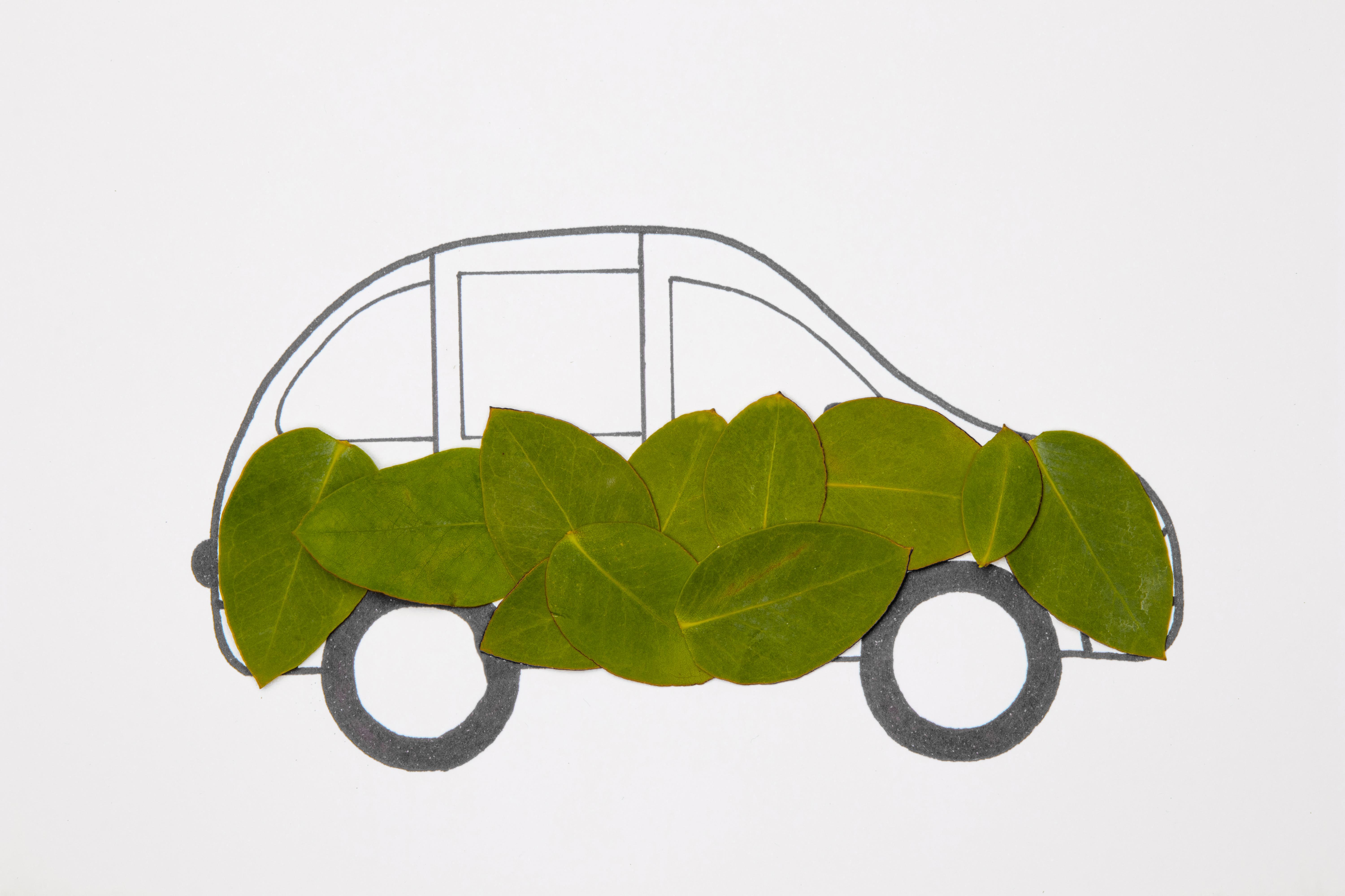 Eco Friendly Recycling Concept